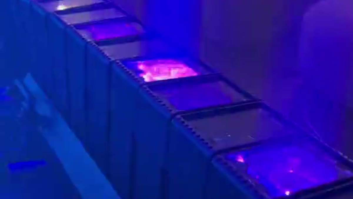 LED Lighting System throwing aerial beams across a venue in Los Angeles
